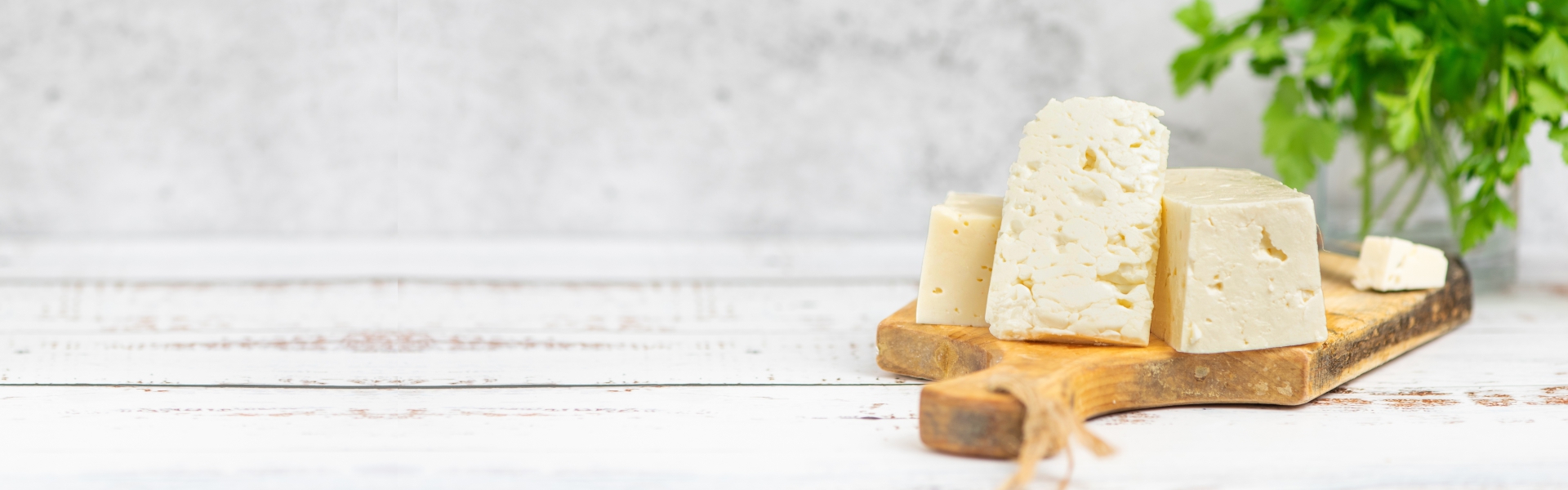 Milk Fat Products Banner
